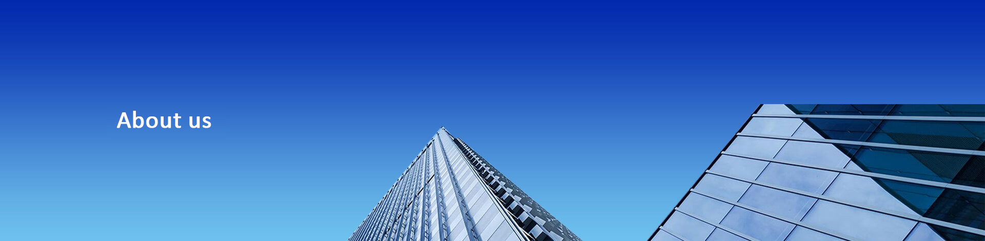 Company Profile